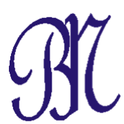 Nefa Logo